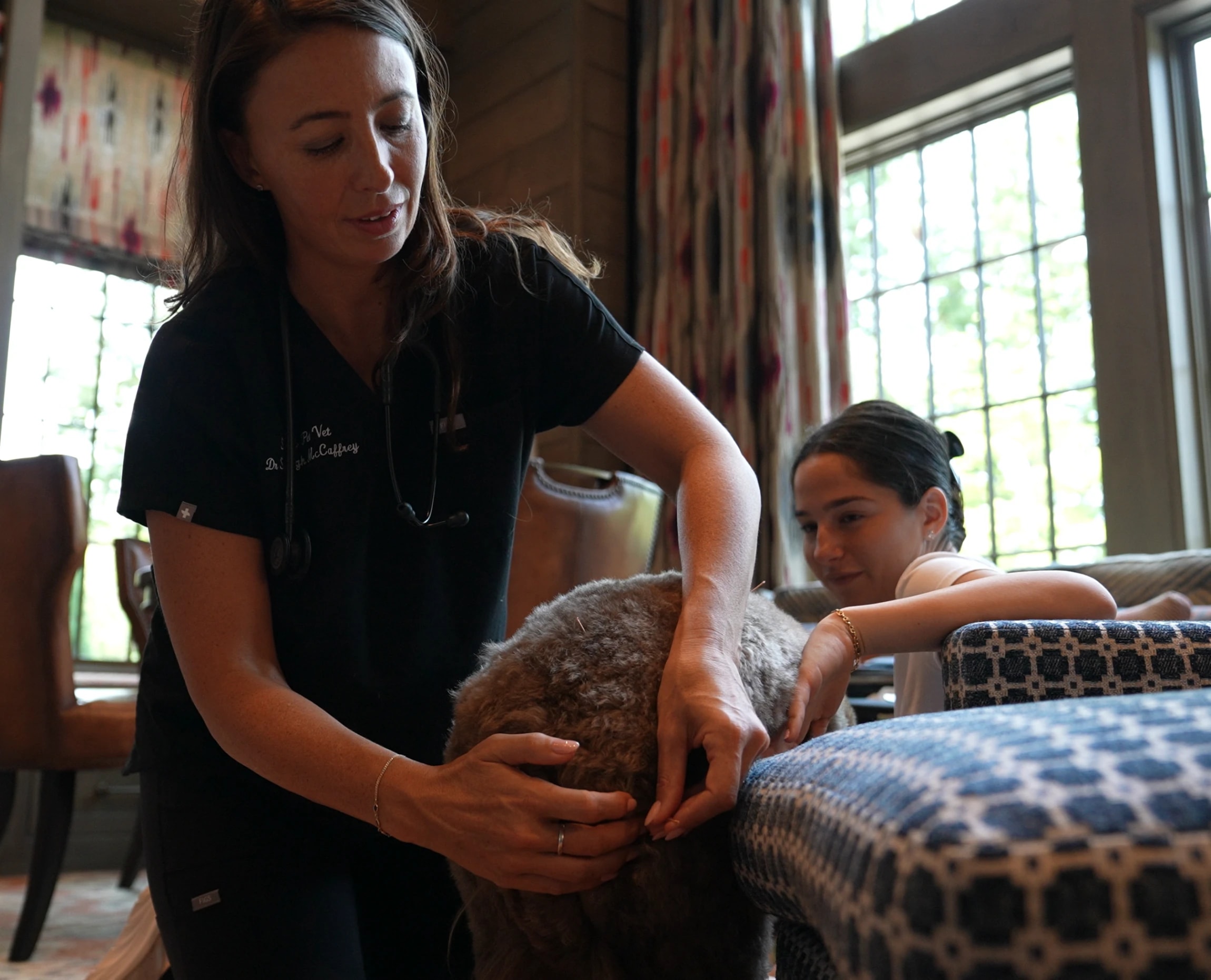 A veterinarian in scrubs examining a shaggy dog in a home living room while the client leans in close